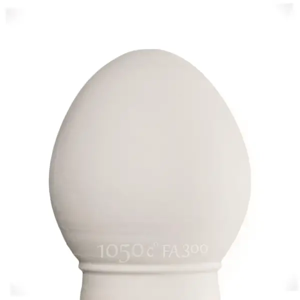 Beyaz Vakum Çamur -Raoult & Beck FA300 Ekstra Beyaz Çamur (İthal) -10 kg - 1