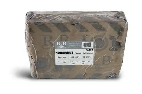 Beyaz Vakum Çamur -Raoult & Beck FA300 Ekstra Beyaz Çamur (İthal) -10 kg - 2